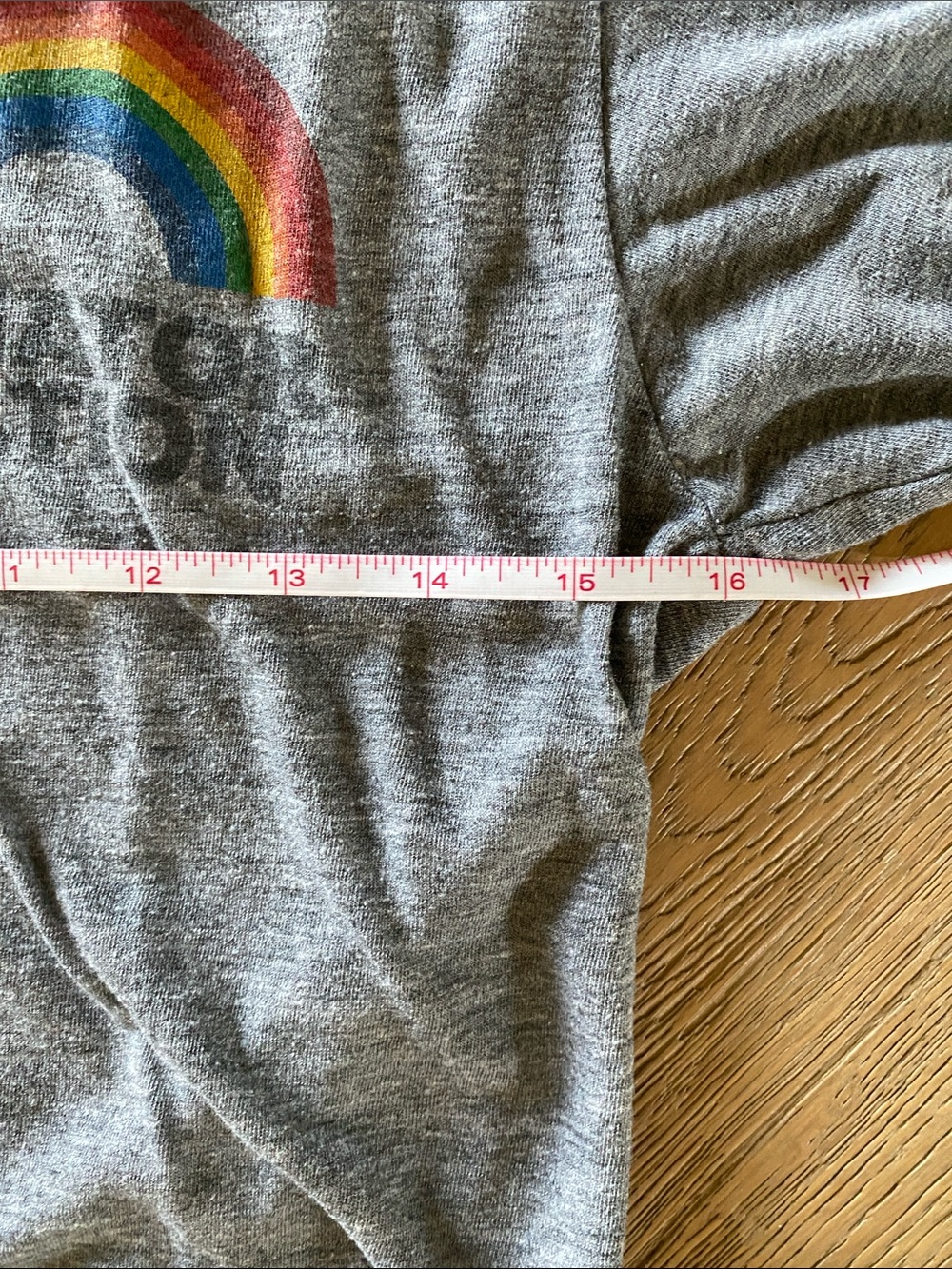 Aviator Nation Gray Tee with Rainbow Graphic - Picture 4 of 5